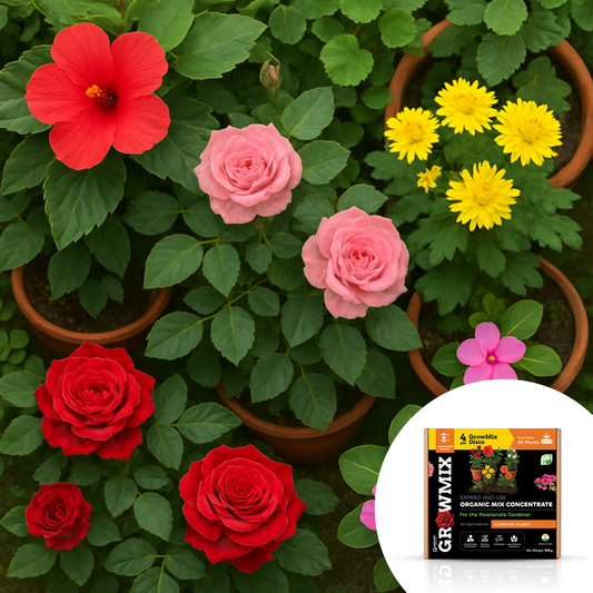 GrowMix-For Flowering Plants