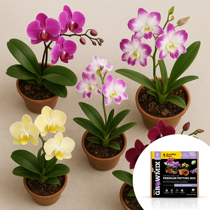 GrowMix-For Orchids / Dendrobiums