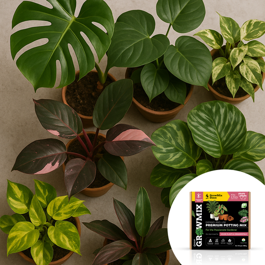 GrowMix – For House Plants & Ornamentals - Pack of 4 Compressed Discs